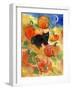 Little Black Cat in Pumpkin Patch-sylvia pimental-Framed Art Print