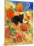 Little Black Cat in Pumpkin Patch-sylvia pimental-Mounted Art Print
