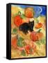 Little Black Cat in Pumpkin Patch-sylvia pimental-Framed Stretched Canvas