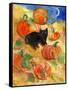 Little Black Cat in Pumpkin Patch-sylvia pimental-Framed Stretched Canvas