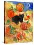 Little Black Cat in Pumpkin Patch-sylvia pimental-Stretched Canvas