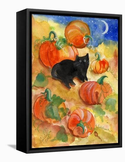 Little Black Cat in Pumpkin Patch-sylvia pimental-Framed Stretched Canvas