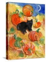 Little Black Cat in Pumpkin Patch-sylvia pimental-Stretched Canvas