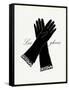 Little Black Gloves-Studio 5-Framed Stretched Canvas
