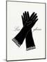 Little Black Gloves-Studio 5-Mounted Art Print