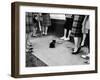 Little Black Kittens Waiting for Audition for Movie "Tales of Terror" in Hollywood-Ralph Crane-Framed Photographic Print