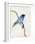 Little Blue, 2012-Nancy Moniz-Framed Giclee Print