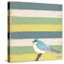 Little Blue Bird-Tammy Kushnir-Stretched Canvas