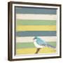 Little Blue Bird-Tammy Kushnir-Framed Giclee Print