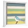 Little Blue Bird-Tammy Kushnir-Framed Giclee Print