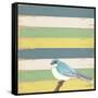 Little Blue Bird-Tammy Kushnir-Framed Stretched Canvas