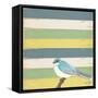 Little Blue Bird-Tammy Kushnir-Framed Stretched Canvas