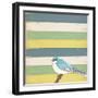 Little Blue Bird-Tammy Kushnir-Framed Giclee Print