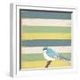 Little Blue Bird-Tammy Kushnir-Framed Giclee Print