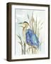 Little Blue Heron-Aimee Wilson-Framed Art Print