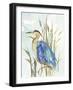 Little Blue Heron-Aimee Wilson-Framed Art Print