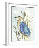 Little Blue Heron-Aimee Wilson-Framed Art Print