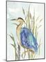 Little Blue Heron-Aimee Wilson-Mounted Art Print