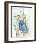 Little Blue Heron-Aimee Wilson-Framed Art Print