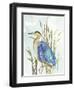 Little Blue Heron-Aimee Wilson-Framed Art Print