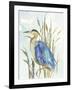 Little Blue Heron-Aimee Wilson-Framed Art Print