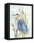 Little Blue Heron-Aimee Wilson-Framed Stretched Canvas