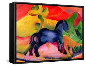 Little Blue Horse, 1912-Franz Marc-Framed Stretched Canvas