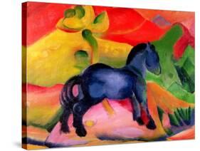 Little Blue Horse, 1912-Franz Marc-Stretched Canvas