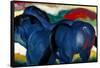 Little Blue Horses, 1911-Franz Marc-Framed Stretched Canvas