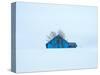 Little blue house-Marco Carmassi-Stretched Canvas