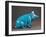 Little Blue Pig in Sitting Position-Clement Massier-Framed Giclee Print