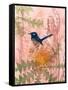Little Blue Wren-Trudy Rice-Framed Stretched Canvas