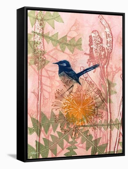 Little Blue Wren-Trudy Rice-Framed Stretched Canvas