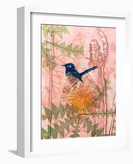 Little Blue Wren-Trudy Rice-Framed Art Print