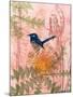 Little Blue Wren-Trudy Rice-Mounted Art Print