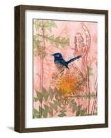 Little Blue Wren-Trudy Rice-Framed Art Print