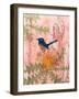 Little Blue Wren-Trudy Rice-Framed Art Print
