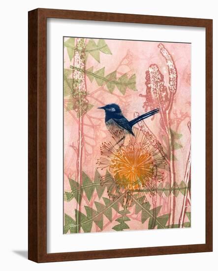 Little Blue Wren-Trudy Rice-Framed Art Print