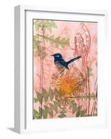 Little Blue Wren-Trudy Rice-Framed Art Print