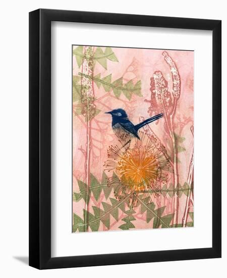 Little Blue Wren-Trudy Rice-Framed Art Print