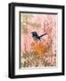 Little Blue Wren-Trudy Rice-Framed Art Print