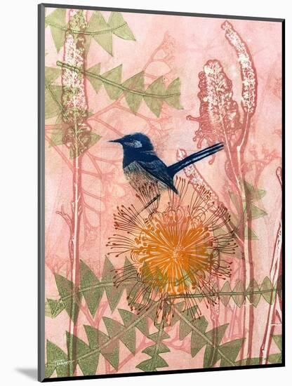 Little Blue Wren-Trudy Rice-Mounted Art Print