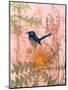 Little Blue Wren-Trudy Rice-Mounted Art Print