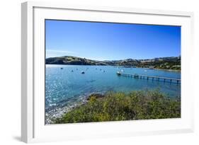 Little Boats in the Akaroa Harbour, Banks Peninsula, Canterbury, South Island, New Zealand, Pacific-Michael Runkel-Framed Photographic Print