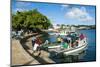 Little Boats in the Harbour of Neiafu, Vavau, Vavau Islands, Tonga, South Pacific, Pacific-Michael Runkel-Mounted Photographic Print