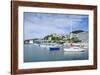 Little Boats in the Harbour of Wellington, North Island, New Zealand, Pacific-Michael-Framed Photographic Print