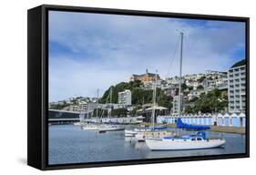 Little Boats in the Harbour of Wellington, North Island, New Zealand, Pacific-Michael-Framed Stretched Canvas