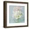 Little Bouquet of Anemones-Judy Stalus-Framed Premium Giclee Print