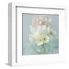 Little Bouquet of Anemones-Judy Stalus-Framed Premium Giclee Print