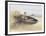 Little Boy and Dog in Beached Rowboat-Dianne Dengel-Framed Giclee Print